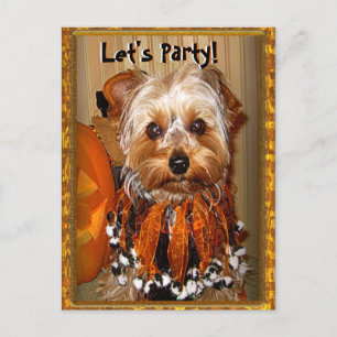 Invitation Carte Postale Faisons la fête pour Halloween Yorkie