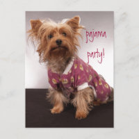 Fête Yorkie en Pyjama