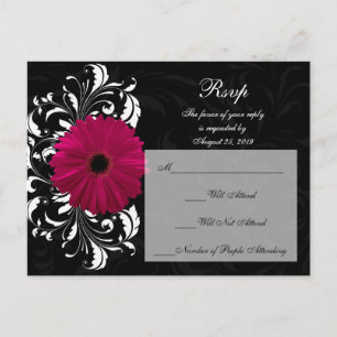 Invitation Carte Postale Fuchsia Scroll Gerbera Daisy avec noir et blanc
