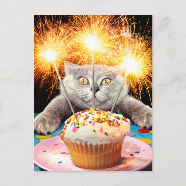 Invitation Carte Postale Gâteau Cupcake avec chat et cierce magique (Devant)