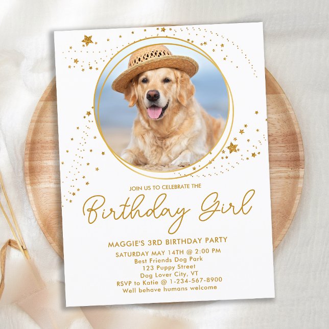 Invitation Carte Postale Gold Stars Personnalisé Animaux de compagnie Photo (Créateur téléchargé)