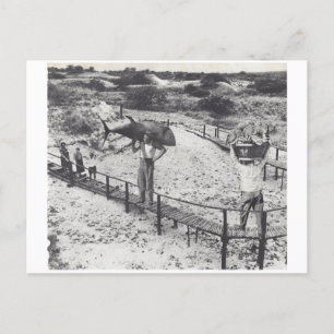 Invitation Carte Postale Gros poissons -