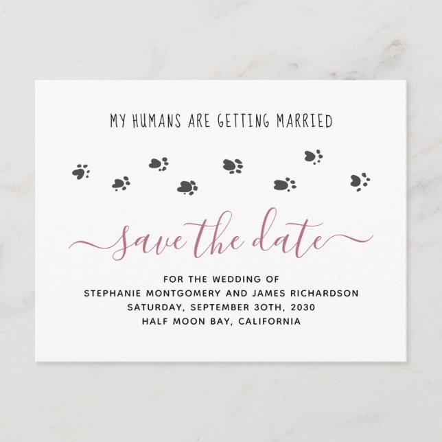 Invitation Carte Postale Humains Mariages d'animaux de compagnie se marier  (Devant)