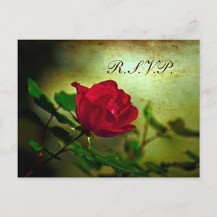Invitation Carte Postale jardin rouge rose steampunk gothique mariage