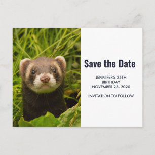 Invitation Carte Postale Joli Furet Brun dans l'Herbe Étape Enregistrer la 