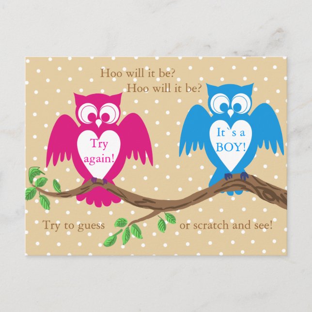 Invitation Carte Postale Le sexe du baby shower de hibou révèle (Devant)