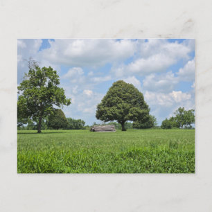 Invitation Carte Postale Lexington, Kentucky