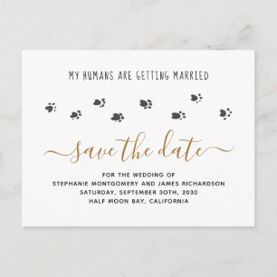 Invitation Carte Postale Mariage Humain Mariage de Animaux de Compagnie Enr