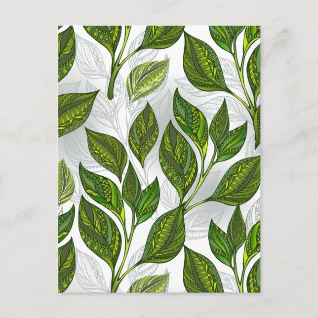 Invitation Carte Postale Motif sans couture avec Feuilles de thé vert (Devant)