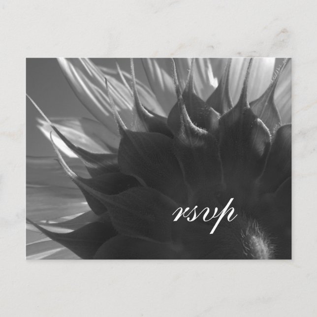 Invitation Carte Postale Noir Blanc Jardin d'été Sunflower Mariage RSVP (Devant)