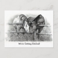 On se marie : chevaux, dessin au crayon, mariage