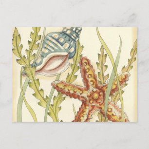 Invitation Carte Postale Partie Shell multicolore