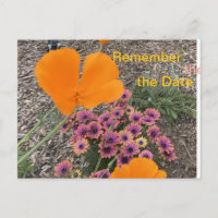 Pavots de Californie 