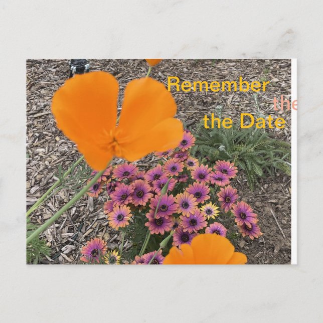 Invitation Carte Postale Pavots de Californie  (Devant)