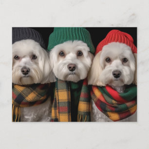 Invitation Carte Postale Pups de vacances