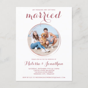 Invitation Carte Postale Rose moderne Gold personnalisé Animaux de compagni