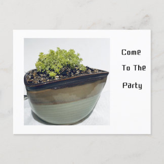 Invitation Carte Postale Sedum dans un pot triangulaire