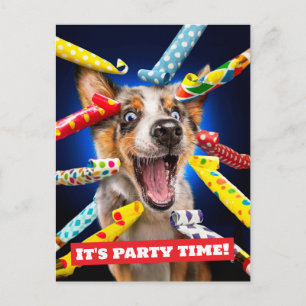 Invitation Carte Postale Sifflets pour fête de chien heureux