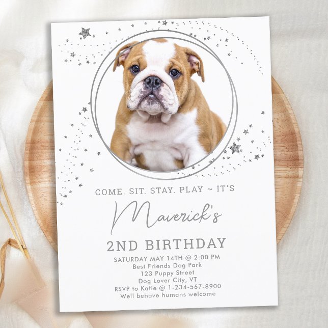 Invitation Carte Postale Silver Stars Chien Anniversaire Personnalisé Anima (Créateur téléchargé)