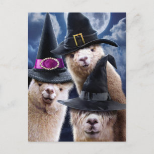 Invitation Carte Postale Sorcières Alpaca