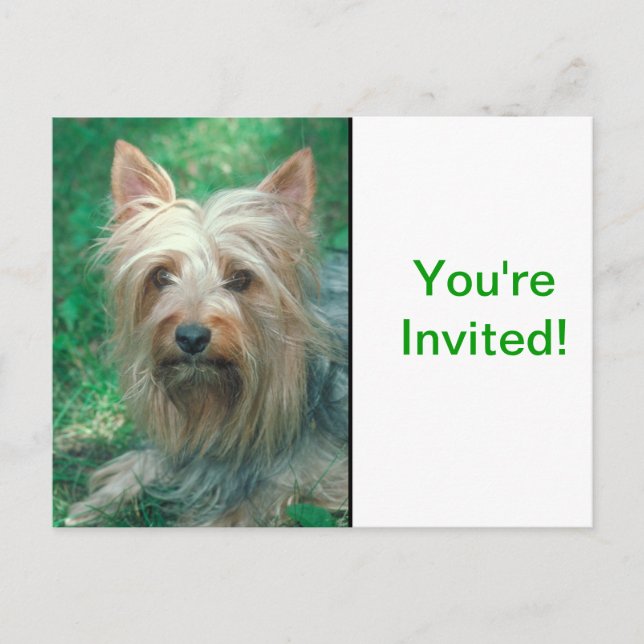 Invitation Carte Postale Terrier australien (Devant)