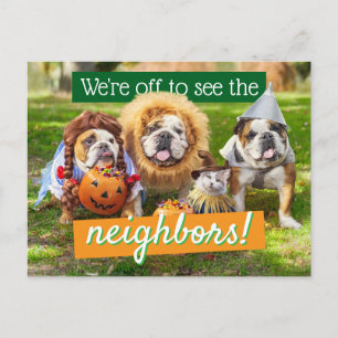 Invitation Carte Postale Trois Bulldogs en costumes