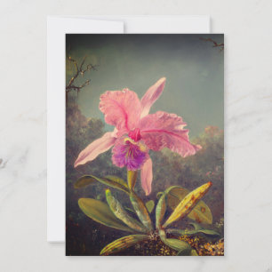 Invitation Cattleya Orchidée et Trois Oiseaux-Mouches Heade