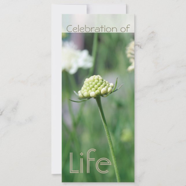Invitation Célébration de la vie 2 Paysage floral (Devant)