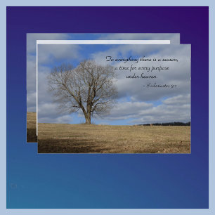 Invitation Célébration de la vie à tout ce qu'il ya saison