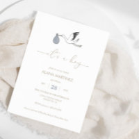 C'est un Baby shower de cigogne