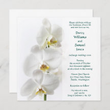 Chanson de Salomon 2:16a Mon bien-aimé est mon mar