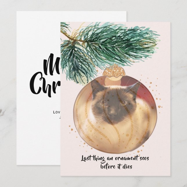 Invitation Chat amusant Noël Dernière chose Bauble Sees Card (Devant / Derrière)