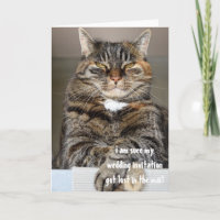 Chat Angélique et Furieux a Perdu l'Invitation de