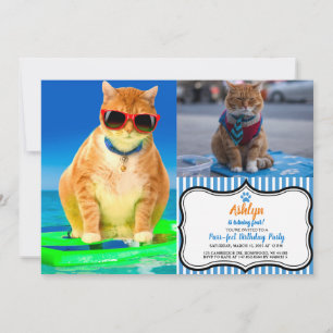 Invitation Chat avec lunettes de soleil surfant dans l'océan