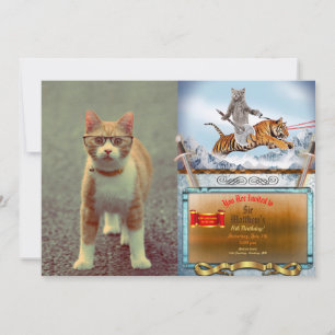 Invitation Chat drôle avec lunettes