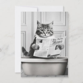 Invitation Chat est assis sur la Toilette, chat lire une nouv
