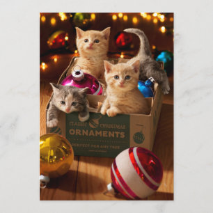 Invitation Chatons dans une boîte à ornements