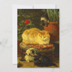 Invitation Chatons en train de jouer