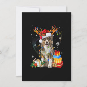 Invitation Chemise australienne de chien berger lumières chap