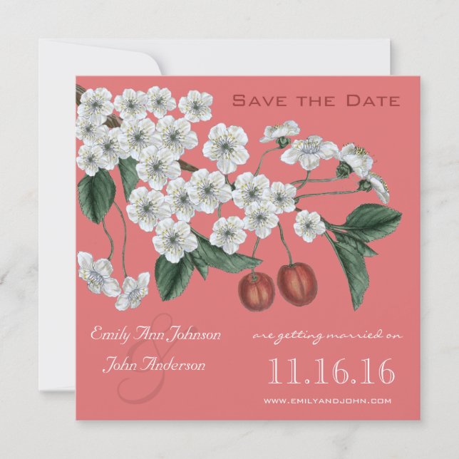 Invitation Cherry Blossoms Branch Enregistrer la date (Devant)