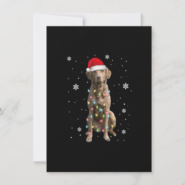Invitation Chesapeake Bay Retriever Chien Noël Noël Noël Noël (Devant)