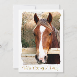 Invitation CHEVAL