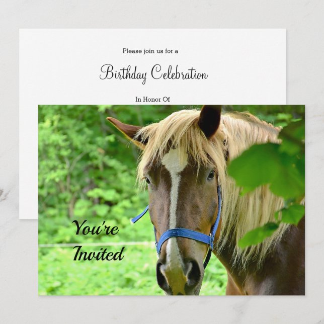 Invitation Cheval Brown Belge Brouillon Photo Anniversaire (Devant / Derrière)