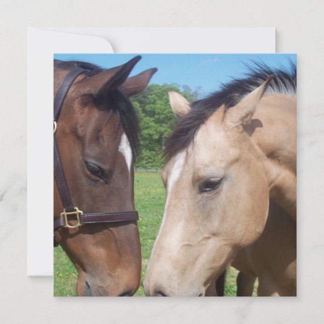 Invitation Cheval Romance (Devant)