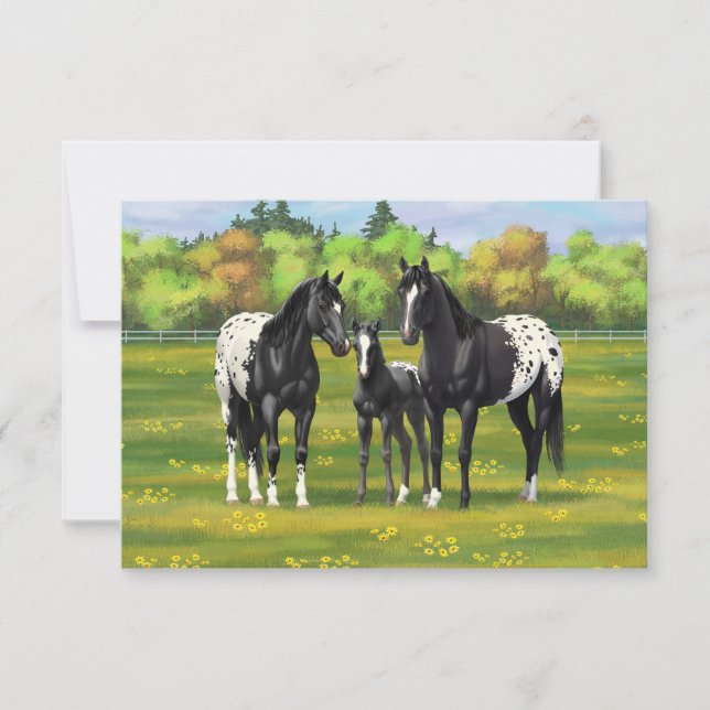 Invitation Chevaux Appaloosa Noir Dans Les Pâturages D'Été (Devant)