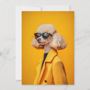 Invitation Chic Poodé en lunettes de soleil et manteau jaune
