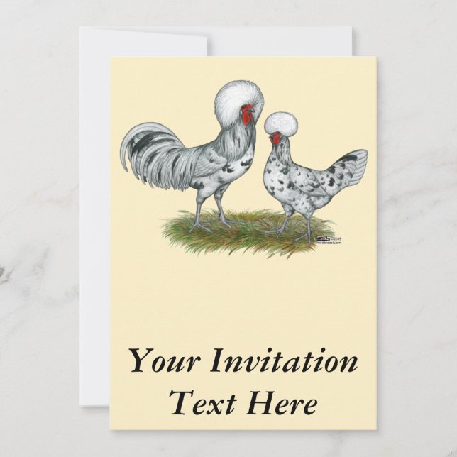 Invitation Chickens de Polish (Devant)