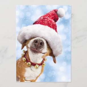 Invitation Chien avec grand chapeau de Père Noël
