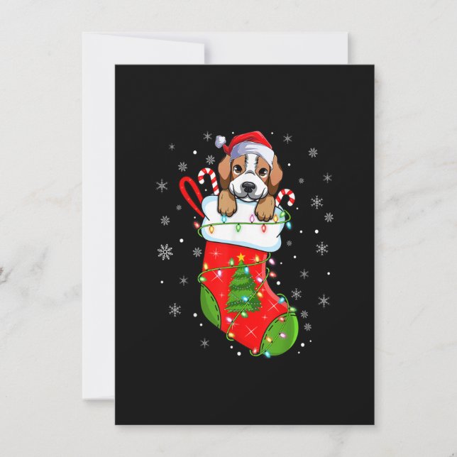 Invitation Chien beagle Dans Chaussettes De Noël Drôle Père N (Devant)