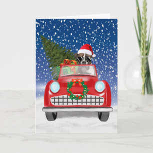 Invitation Chien Boxer Conduisant une Voiture dans la Neige N